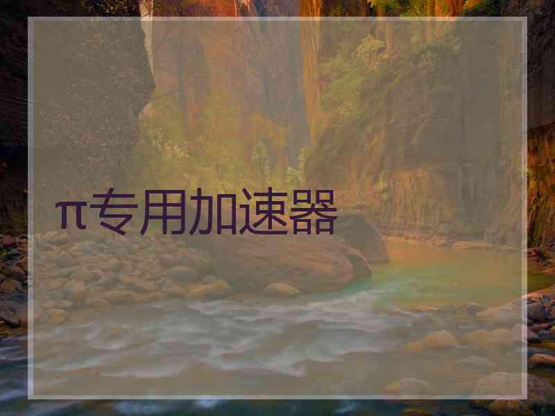 π专用加速器