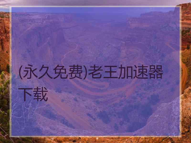 (永久免费)老王加速器下载
