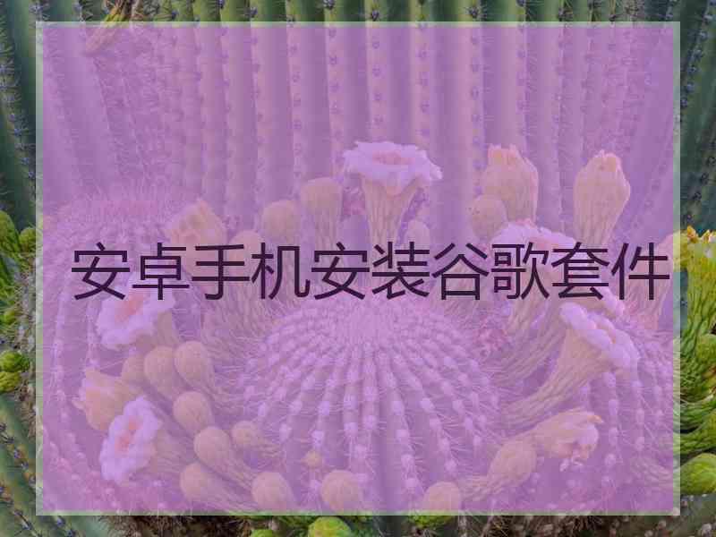 安卓手机安装谷歌套件