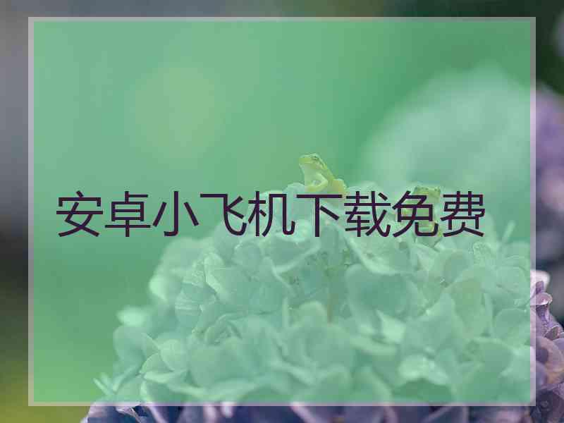安卓小飞机下载免费