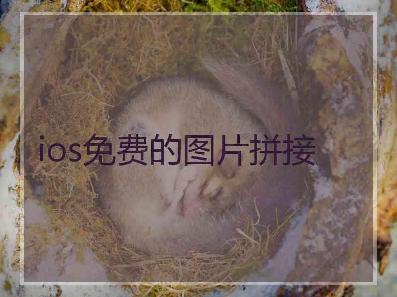 ios免费的图片拼接