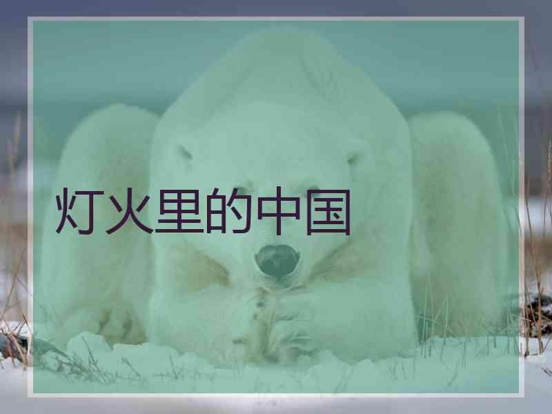 灯火里的中国