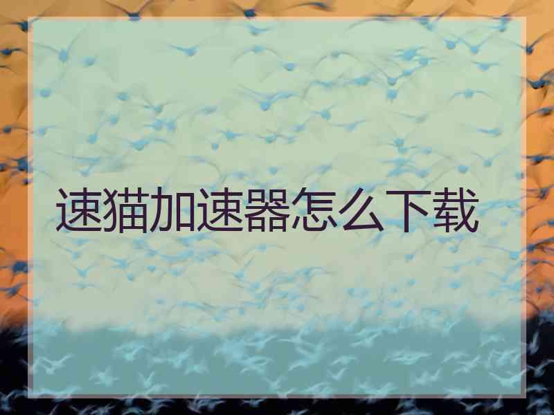 速猫加速器怎么下载