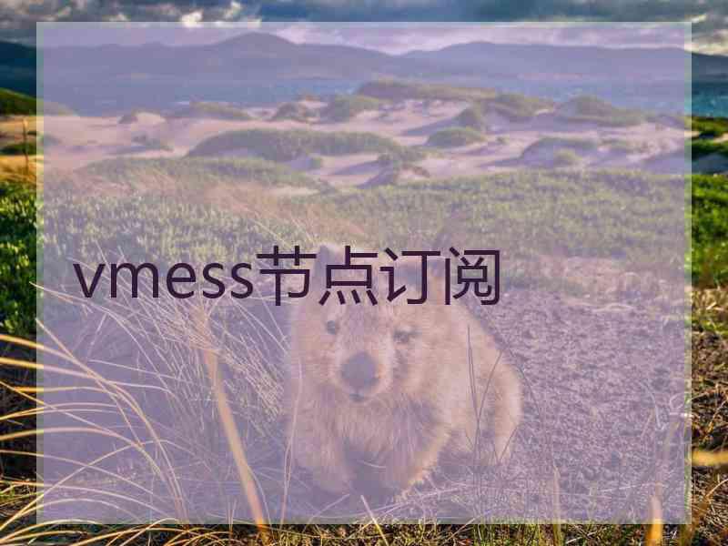 vmess节点订阅