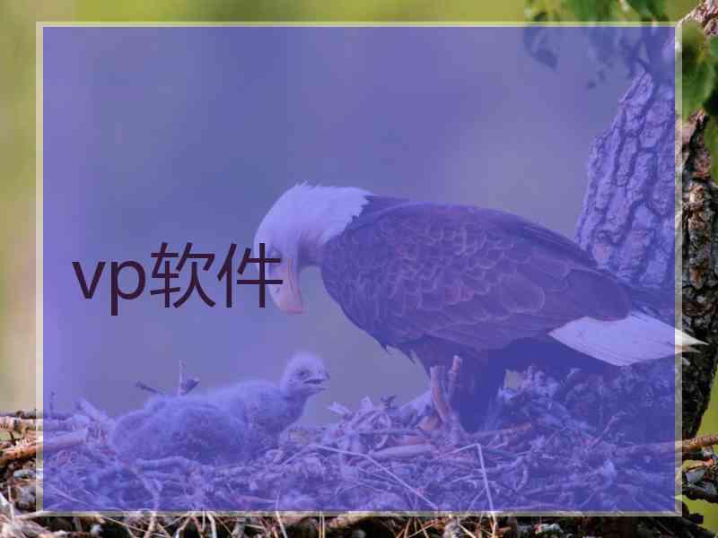 vp软件
