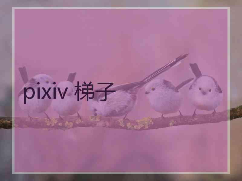 pixiv 梯子