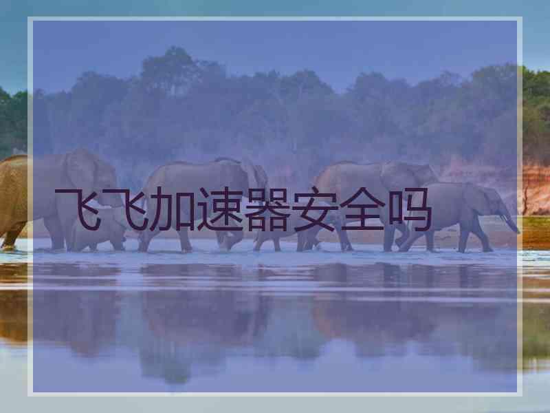 飞飞加速器安全吗