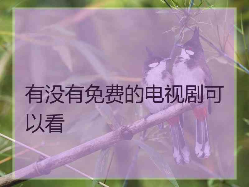有没有免费的电视剧可以看