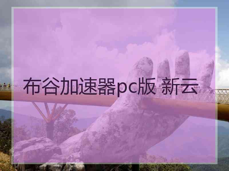 布谷加速器pc版 新云