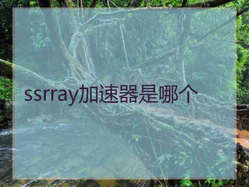 ssrray加速器是哪个