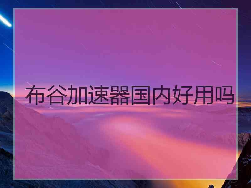 布谷加速器国内好用吗