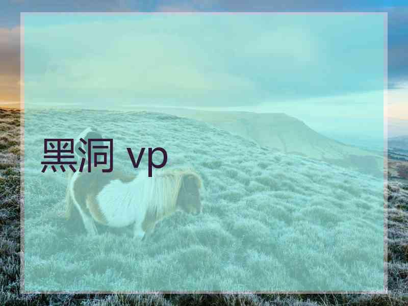 黑洞 vp