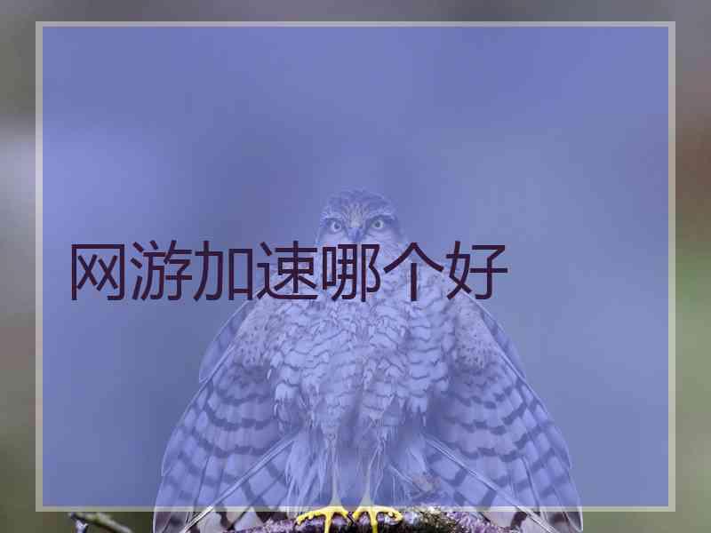 网游加速哪个好