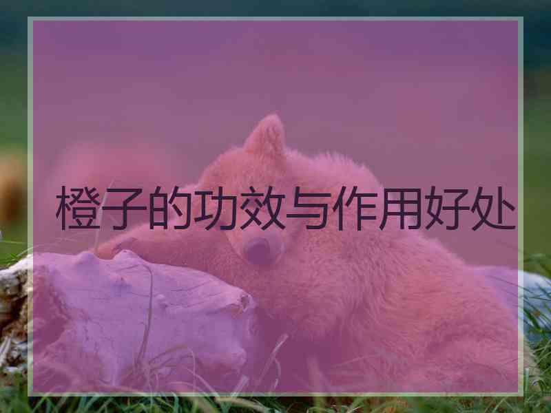 橙子的功效与作用好处