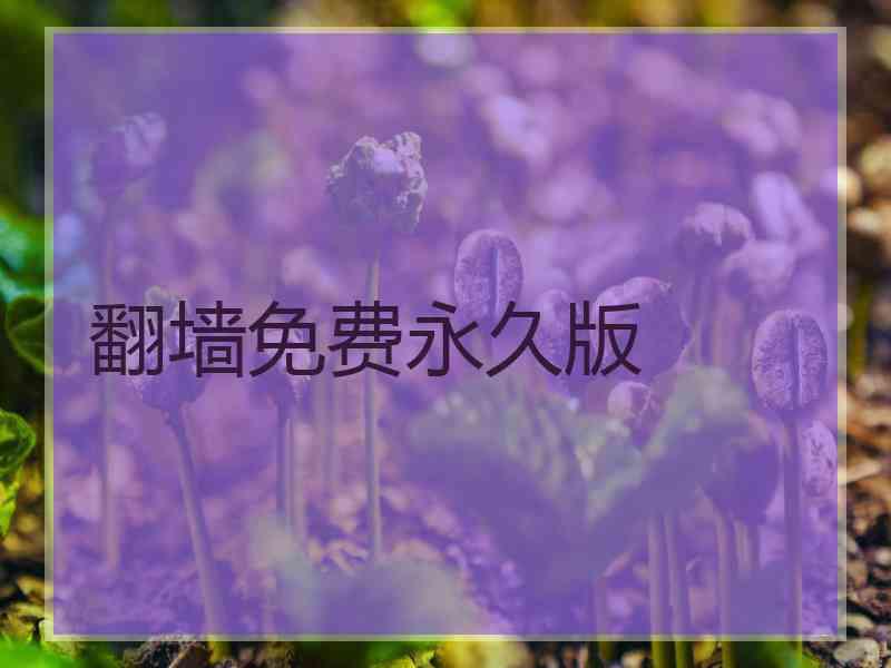 翻墙免费永久版