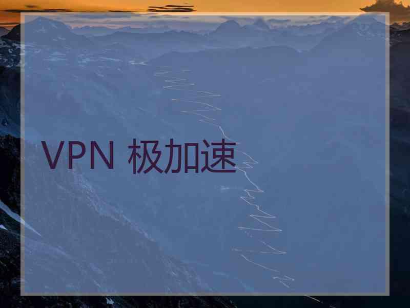 VPN 极加速
