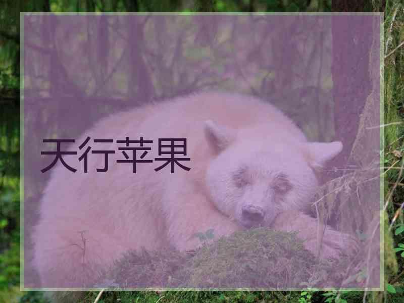 天行苹果
