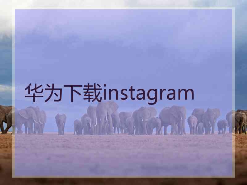 华为下载instagram