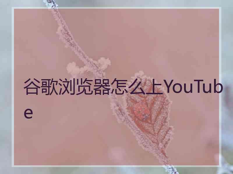 谷歌浏览器怎么上YouTube