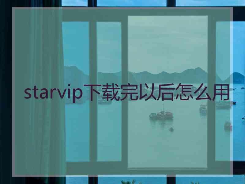 starvip下载完以后怎么用