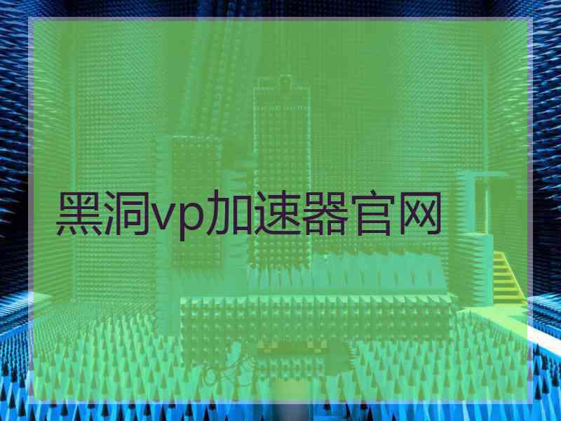 黑洞vp加速器官网