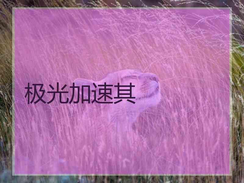 极光加速其