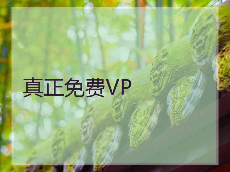 真正免费VP
