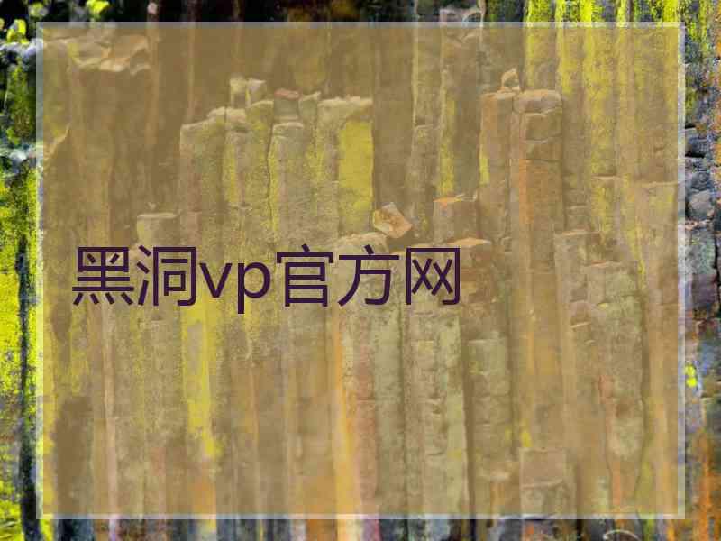 黑洞vp官方网