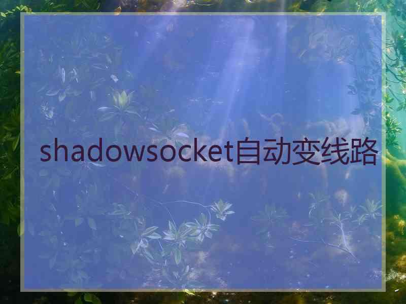 shadowsocket自动变线路