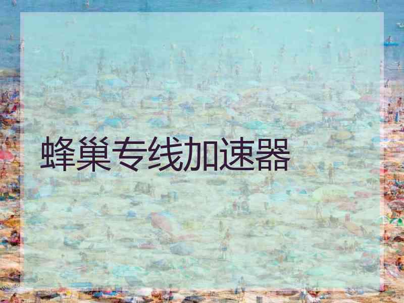 蜂巢专线加速器