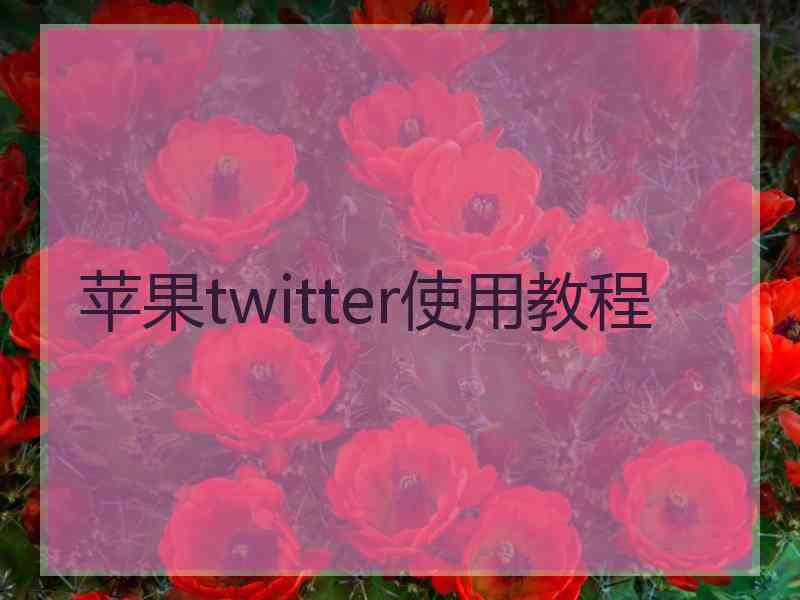 苹果twitter使用教程