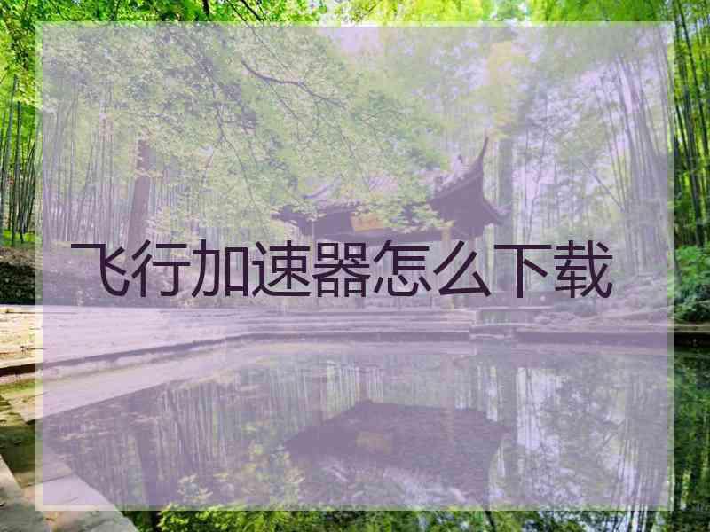 飞行加速器怎么下载
