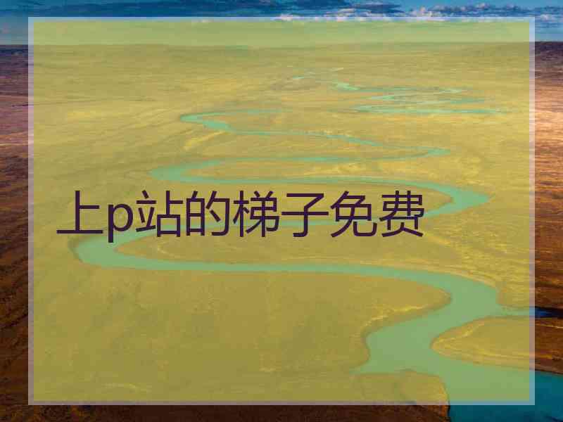上p站的梯子免费