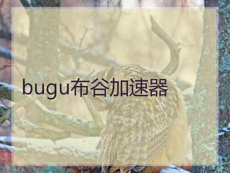 bugu布谷加速器