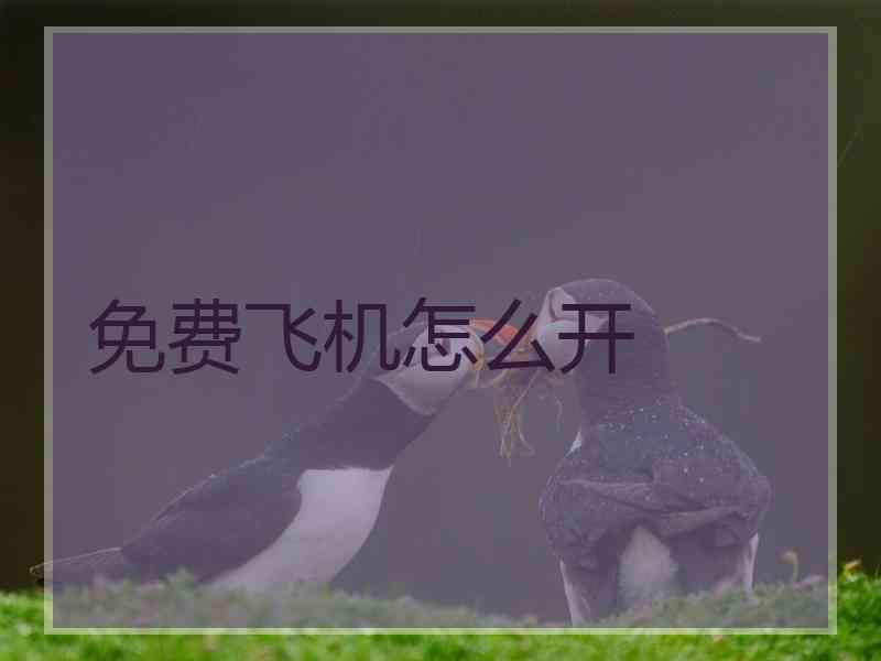 免费飞机怎么开