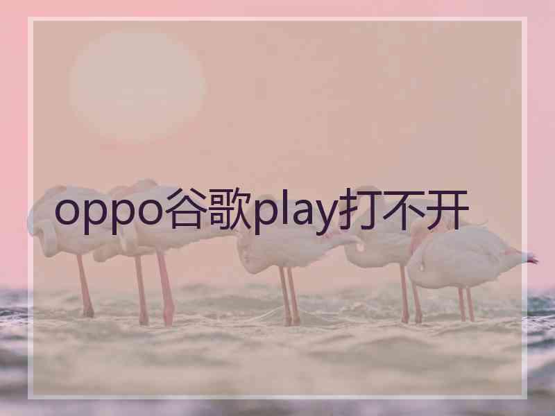 oppo谷歌play打不开