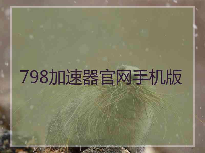 798加速器官网手机版