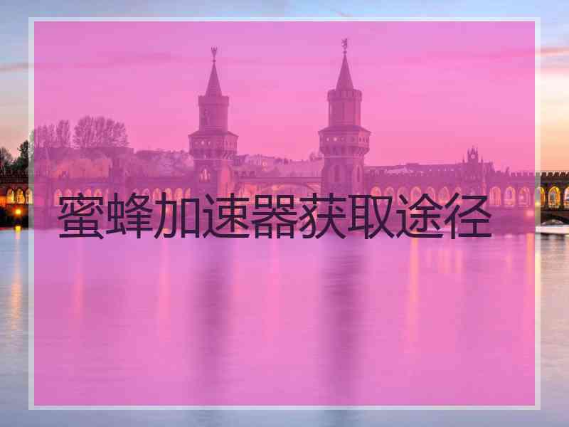 蜜蜂加速器获取途径