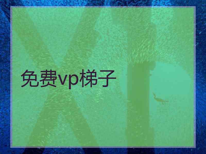 免费vp梯子