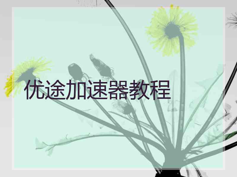 优途加速器教程