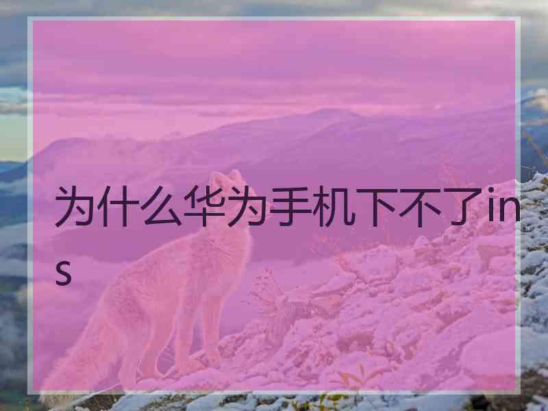 为什么华为手机下不了ins