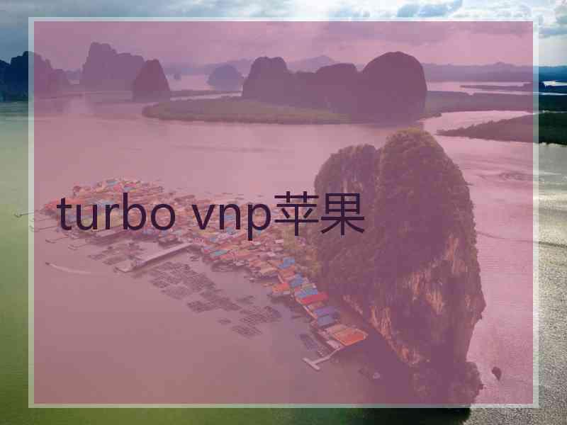 turbo vnp苹果