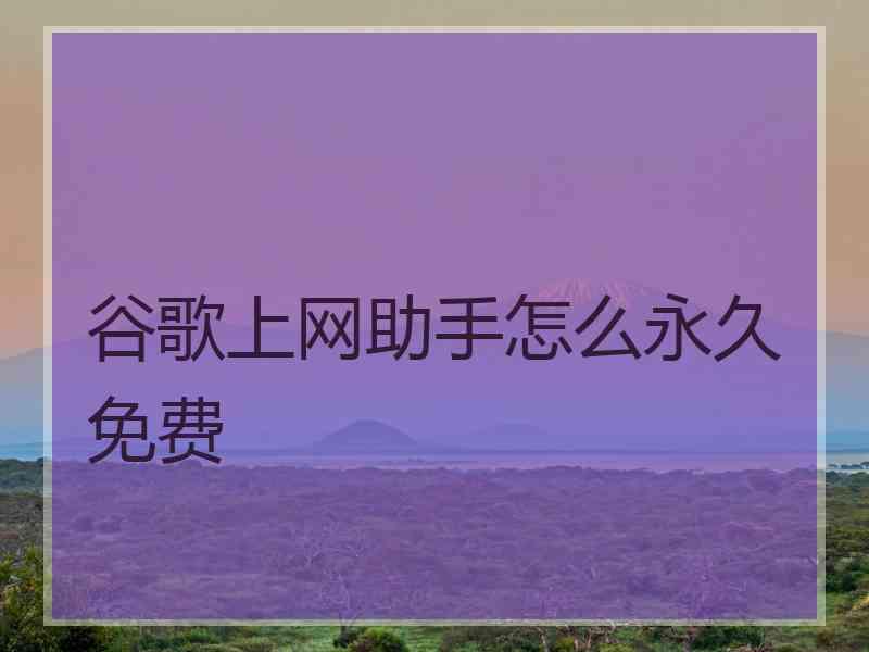 谷歌上网助手怎么永久免费