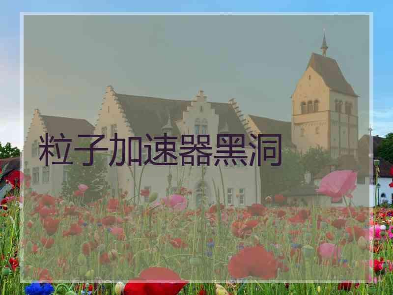 粒子加速器黑洞