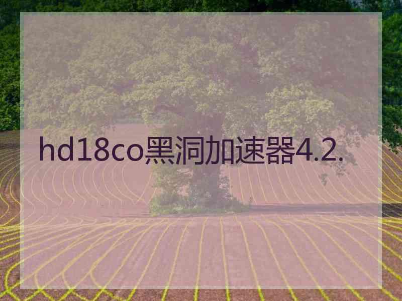 hd18co黑洞加速器4.2.