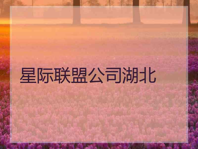 星际联盟公司湖北