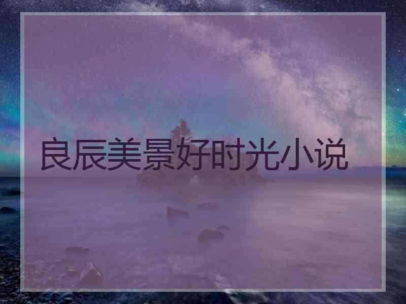 良辰美景好时光小说