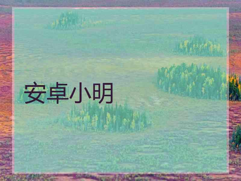 安卓小明
