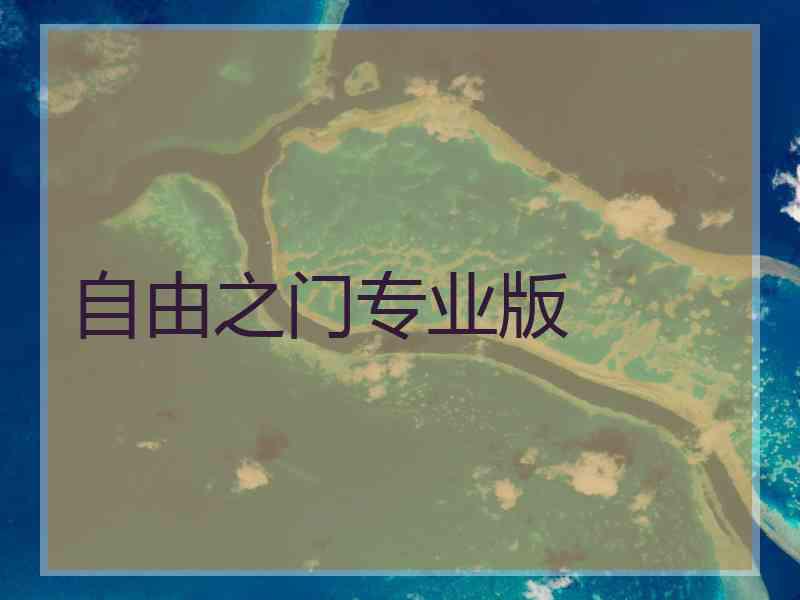 自由之门专业版