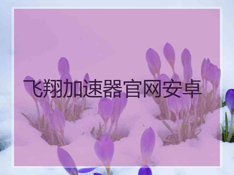 飞翔加速器官网安卓